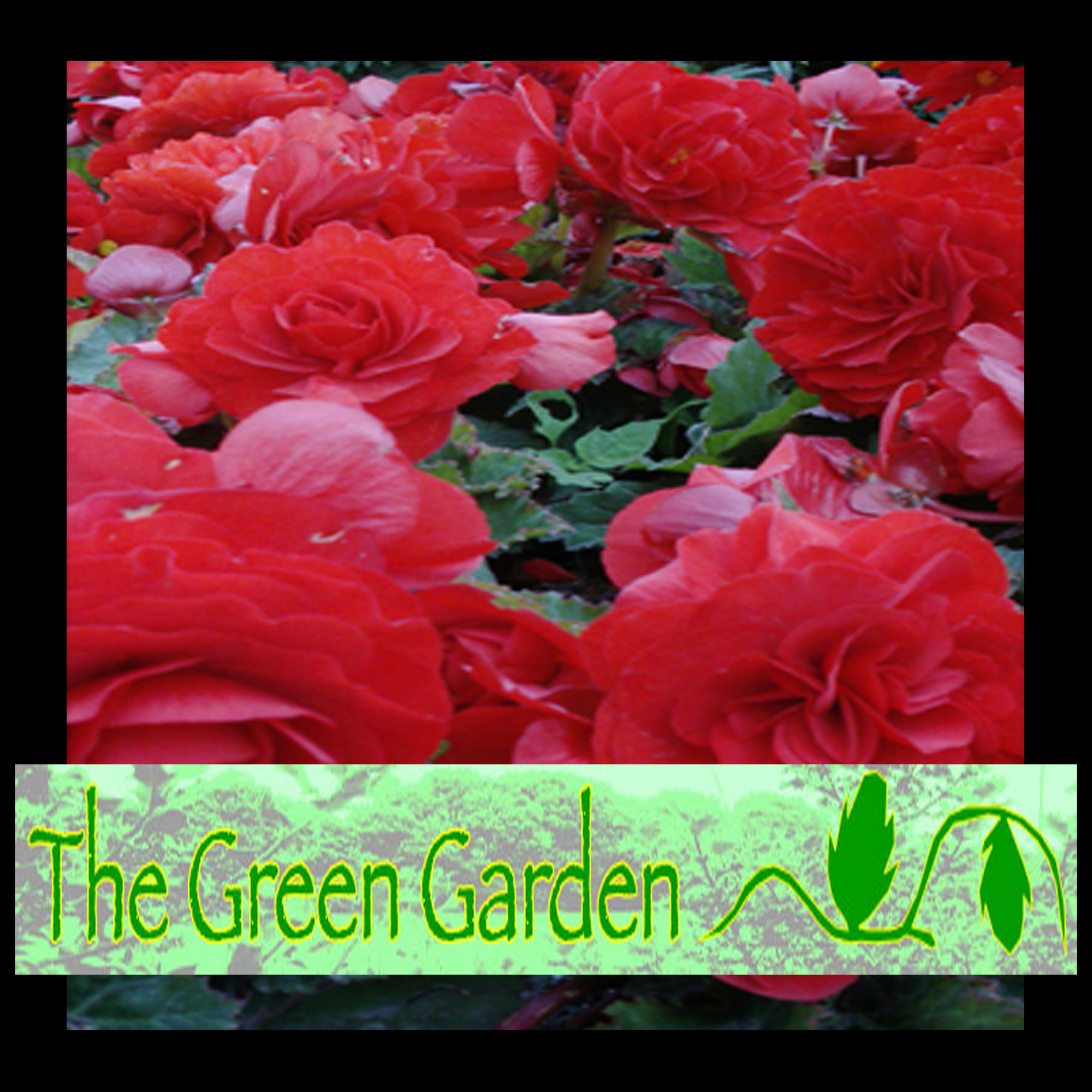 The Green Garden logo